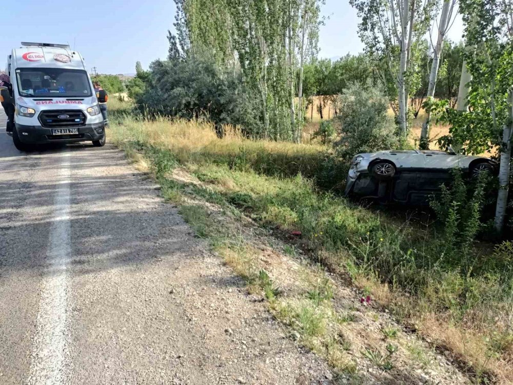 Önüne köpek çıkan sürücü ne yapacağını şaşırdı