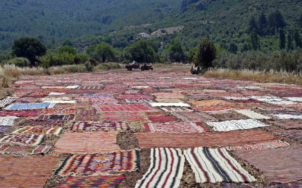 ABD’nin gözü Antalya'nın halı tarlasında