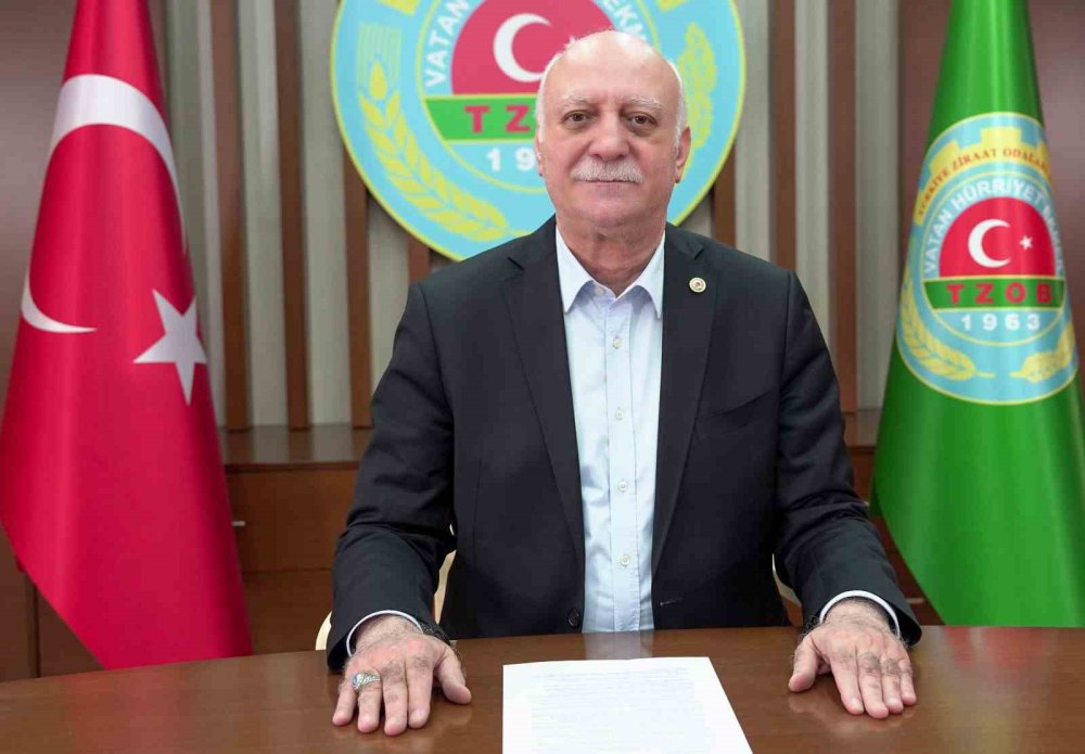 Kayısı Üretiminde Artış Bekleniyor: Hedef 800 Bin Ton