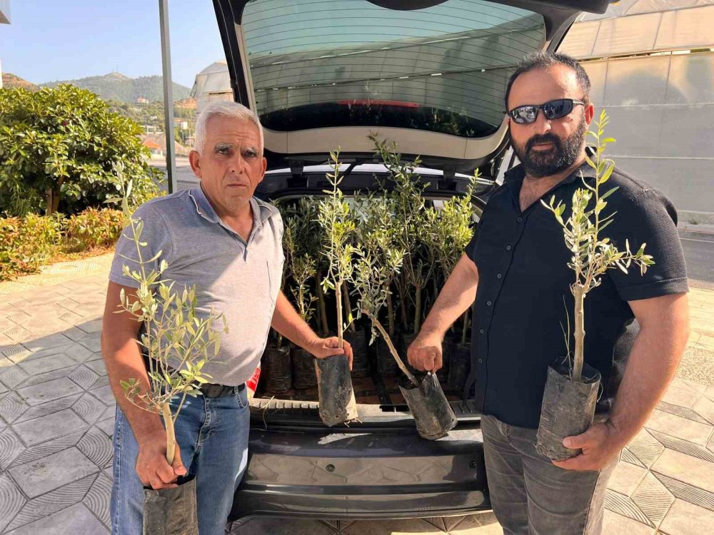 Mersin yaptı sıra Gazipaşa'da