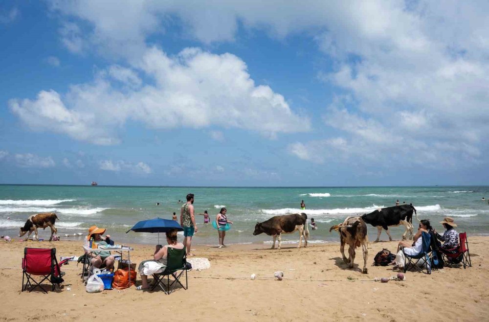 Yüksek fiyatlar ’beach’lerdeki şezlongları boş bıraktı