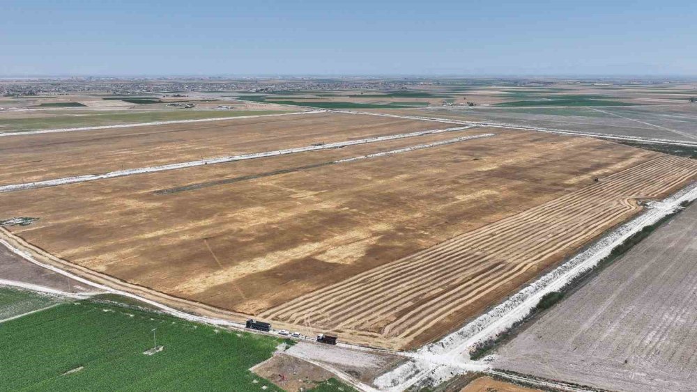 Konya’da Yerli Tohum ve Susuz Tarım Projesinde İlk Hasat Yapıldı