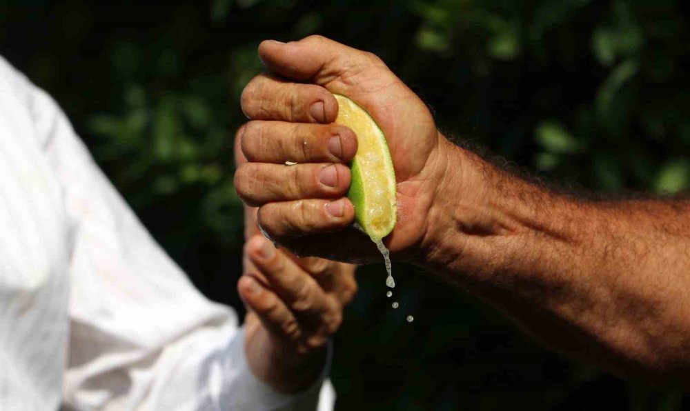 Limon fiyatları 30 kuruştan 50 liraya çıktı: Üretici üzgün