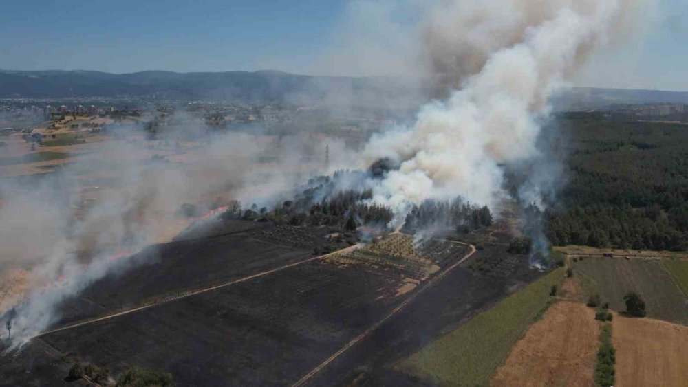 Yangının ardından Bursa’da ormanlara girişler yasaklandı