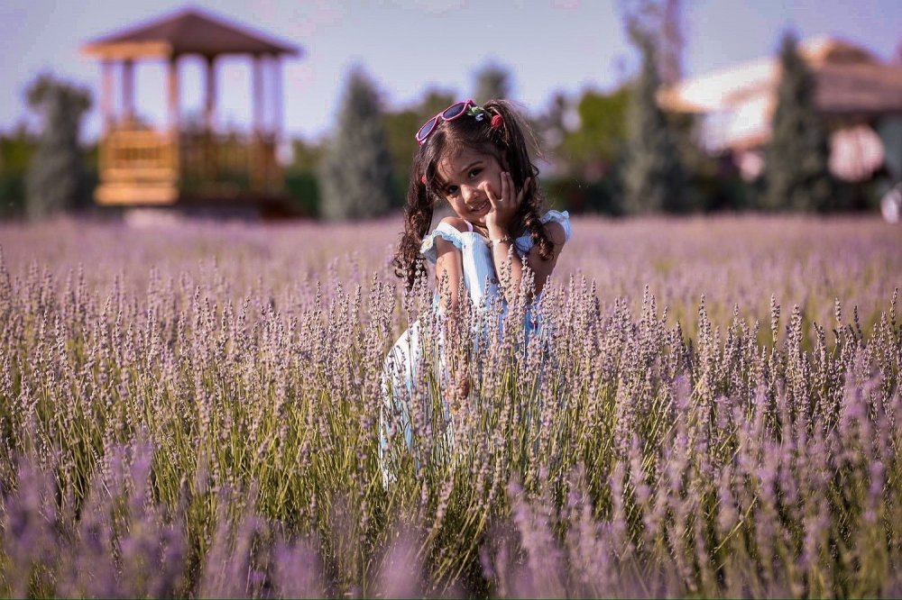 Karatay Lavanta Günleri'nde Ziyaretçi Rekoru Kırıldı