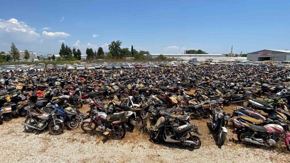 Yediemin Otoparklarındaki Milyonluk Araçlar Çürümeye Başladı