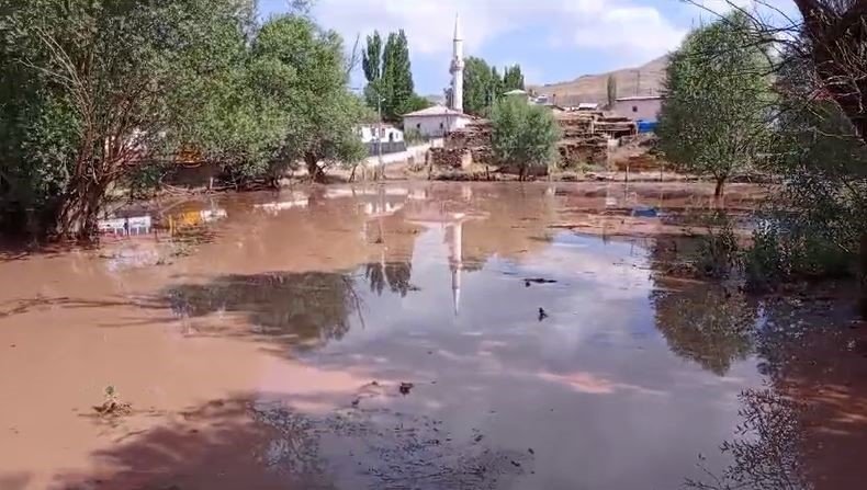 1 yıllık emeği alıp götürdü: 70 ton buğday yağmur suyuna karıştı