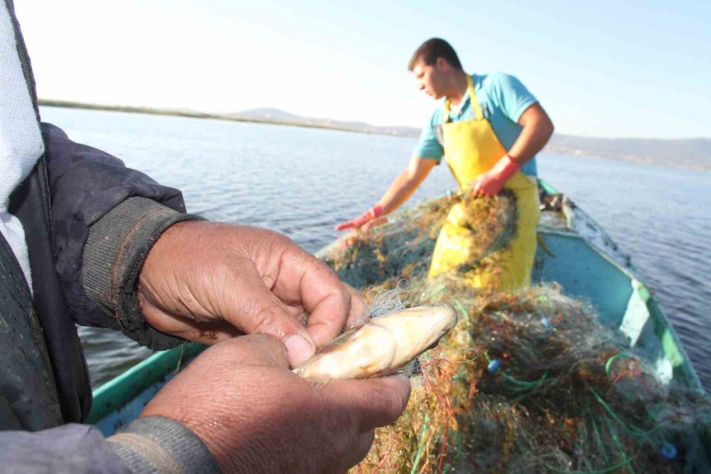 Beyşehirli balıkçıların ot mücadelesi