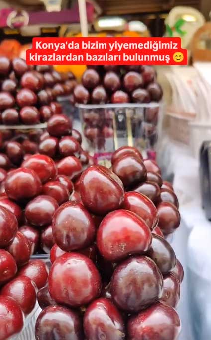 aksehir-kirazi-bulunmus-fiyati-1.jpg