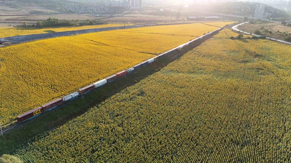 Betonlaşan İstanbul'un Ortasında Kartpostallık Manzara