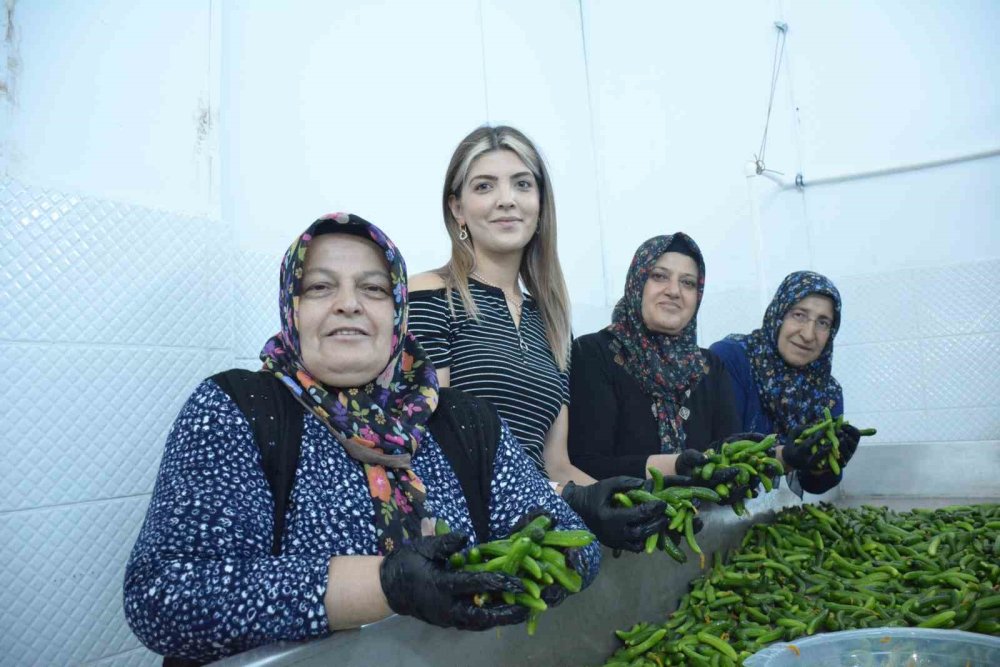 Çubuk'un Meşhur Turşusu: Doğallığıyla Damakları Şaşırtıyor