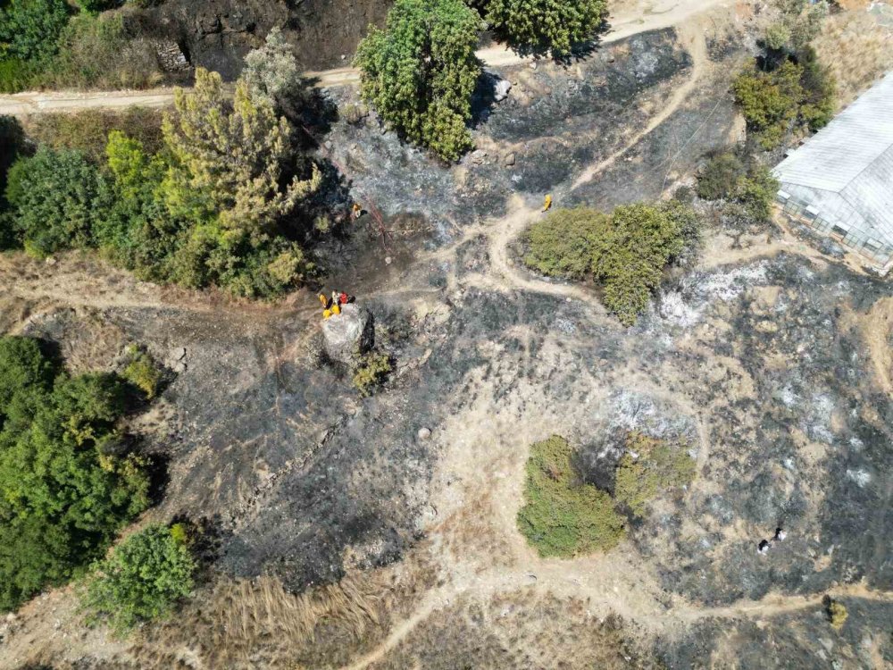 Gazipaşa'da Çıkan Yangın Ormanlık Alana Sıçradı