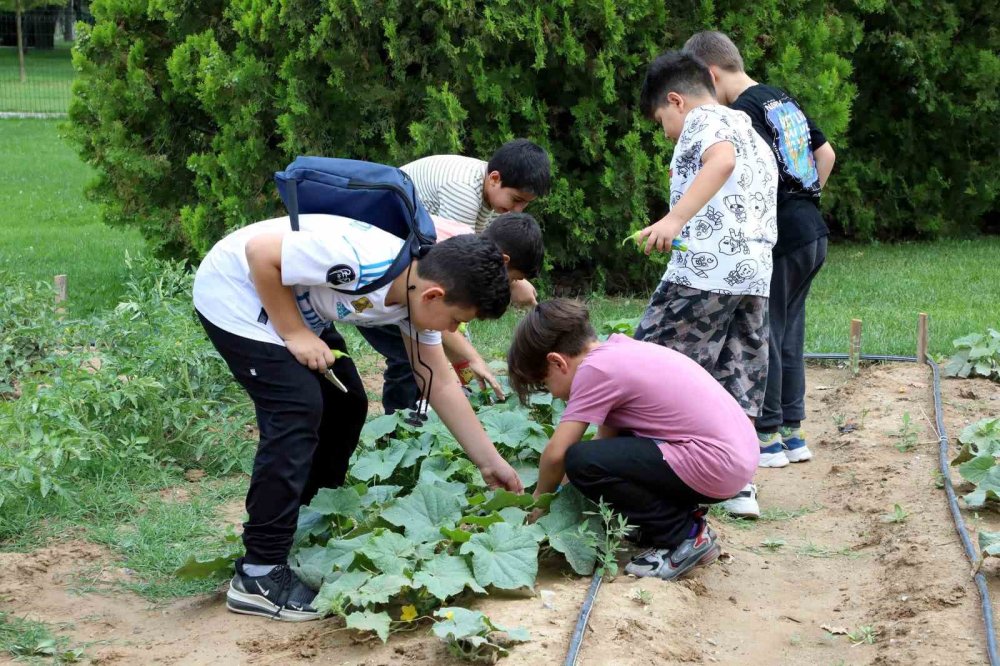 Karatay Tabiat Mektebi'nde Yaz Dönemi Eğitimleri Devam Ediyor