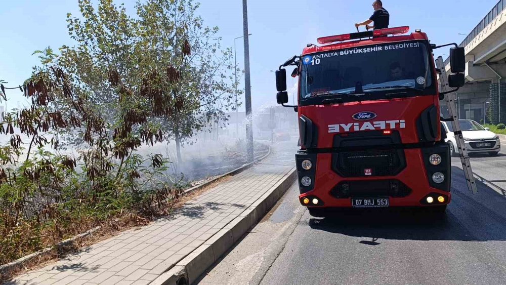 Vatandaş akıllanmıyor: Hem de Manavgat'ta