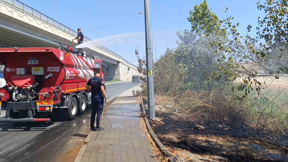 Vatandaş akıllanmıyor: Hem de Manavgat'ta