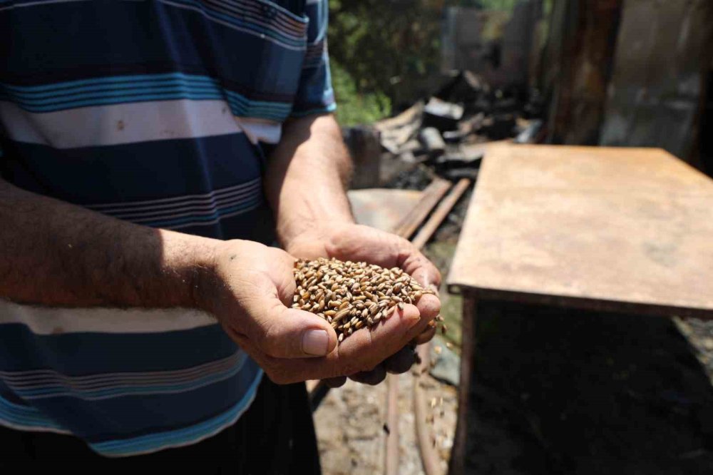 Orman Yangınında Evi Yanan Yaşlı Adam: Her Şeyim Vardı, Hepsi Gitti