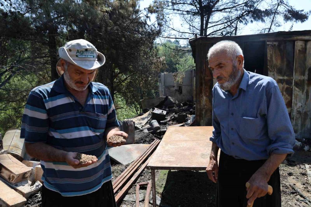 Orman Yangınında Evi Yanan Yaşlı Adam: Her Şeyim Vardı, Hepsi Gitti