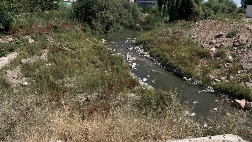 Ankara'nın göbeğinde! Kötü koku ve sivrisinek nedeniyle misafir çağıramıyorlar