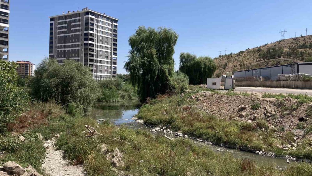 Ankara'nın göbeğinde! Kötü koku ve sivrisinek nedeniyle misafir çağıramıyorlar