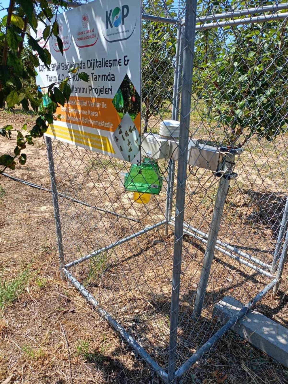 Konya'da meyve bahçelerinde seferberlik