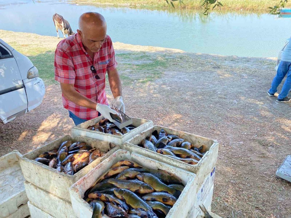 Beyşehir Gölü'nde Sıkı Balıkçılık Denetimleri: Avlanma Boy Limitlerine Uymayanlara Ceza