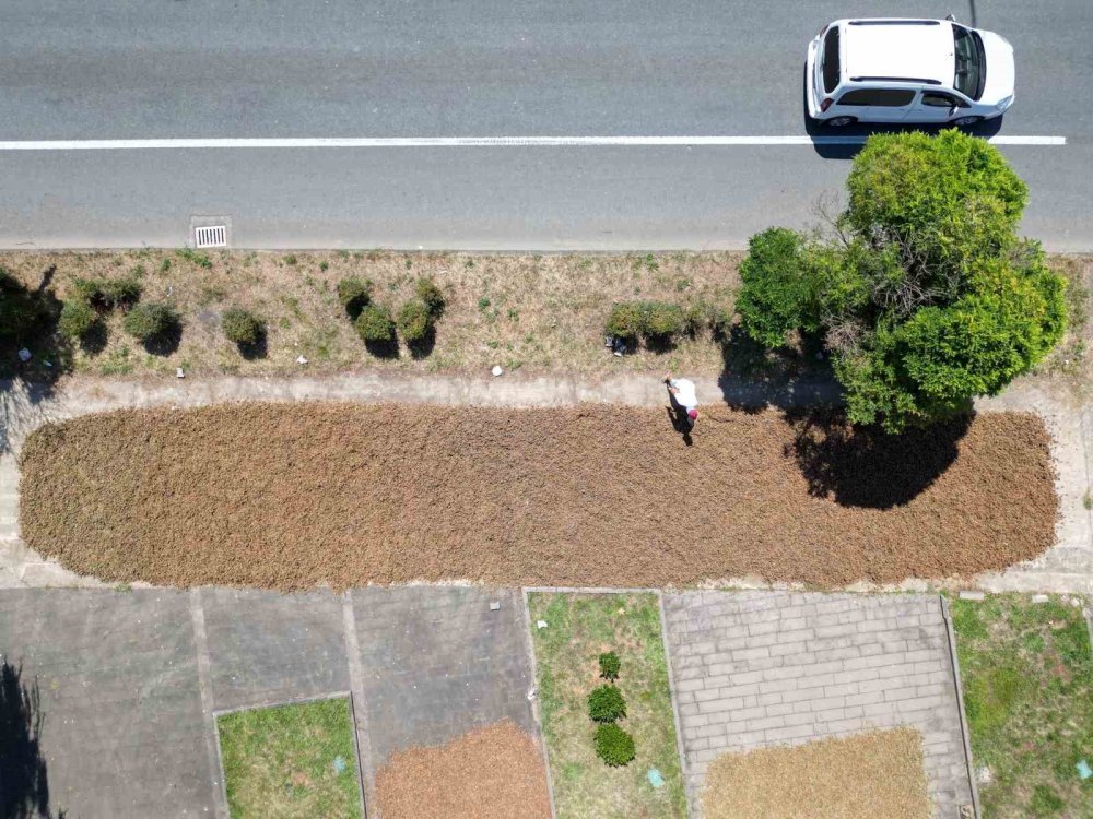 Karadeniz Sahil Yolu harman yerine döndü