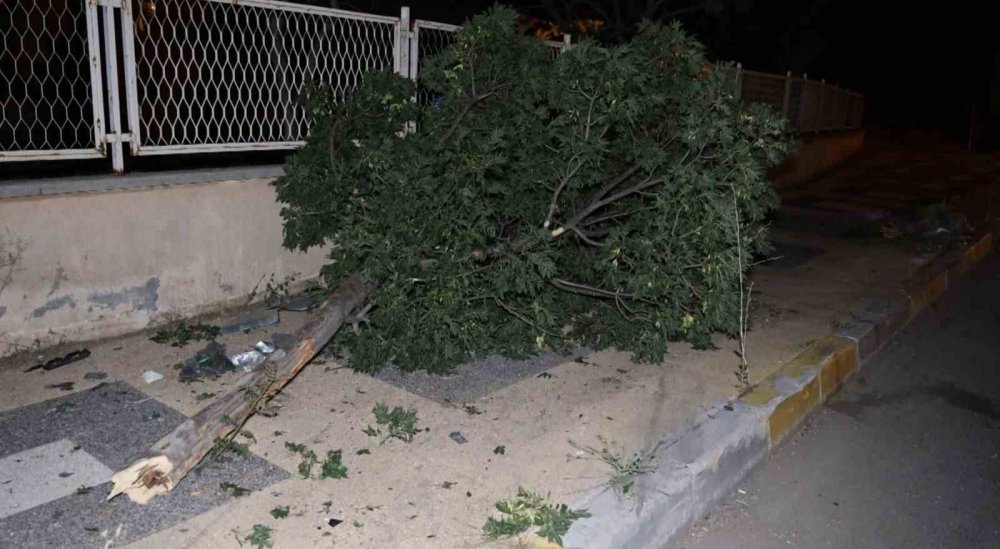 Otomobili hurdaya dönen alkollü sürücü burnu bile kanamadan kurtuldu