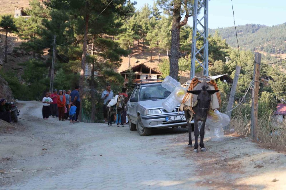 21 Yıllık Susuzluk: Vatandaşlar Eşeklerle Su Taşıyor