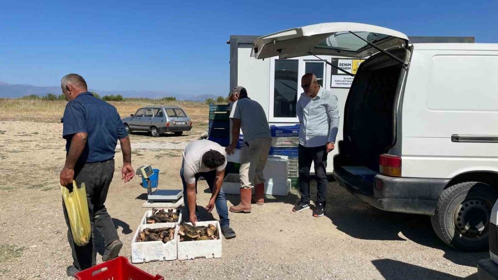 Beyşehir Gölü’nde balık avına yakın takip: Boyları tek tek ölçülüyor