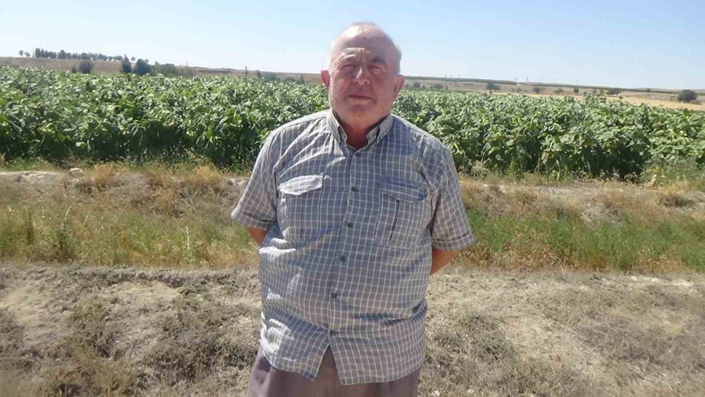 Karapınar'da Obruk Tehlikesi Artıyor: Vatandaşlar Tedirgin, Evler Risk Altında