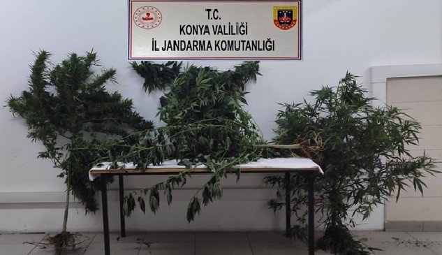 Konya’nın 3 ilçesinde uyuşturucu operasyonu: 5 gözaltı