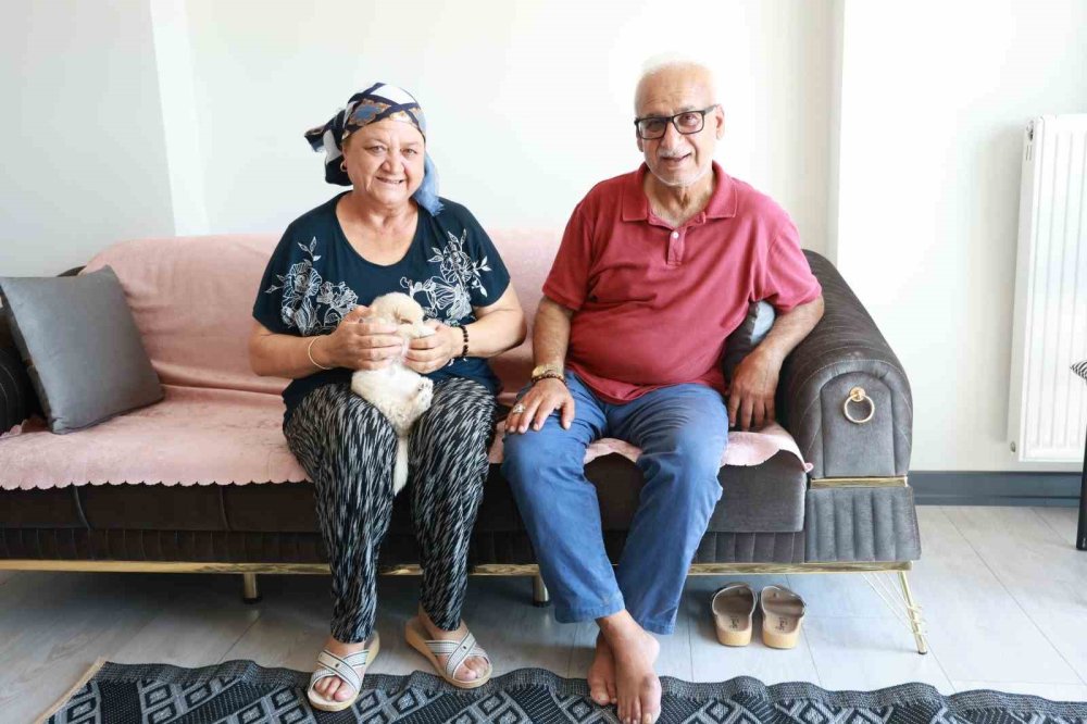 Bir zamanlar hayvanlar otlatılıyordu: Deprem konutlarında yaşam başladı