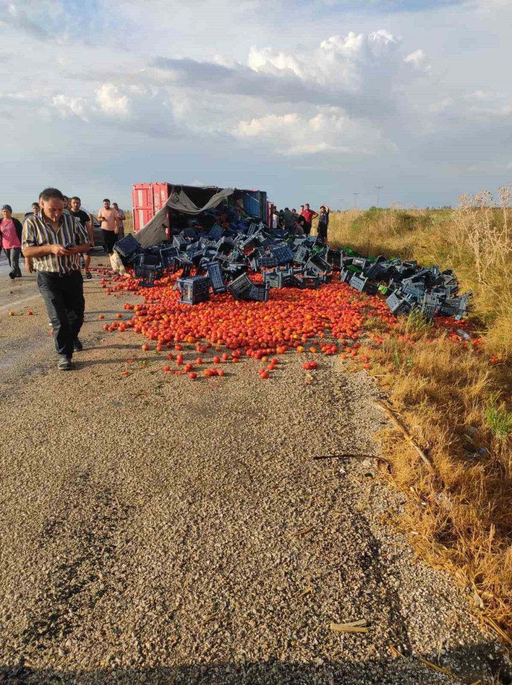 Domatesin kaderi bu mu? Tonlarcası yola saçıldı