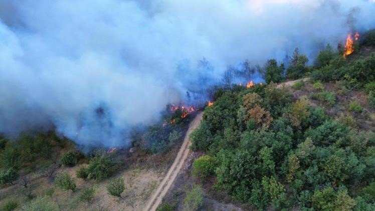 İznik'te çıkan orman yangını 12 saat sonra kontrol altına alındı