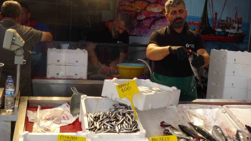 Balık Tezgâhlarında Hamsi Bolluğu Başladı