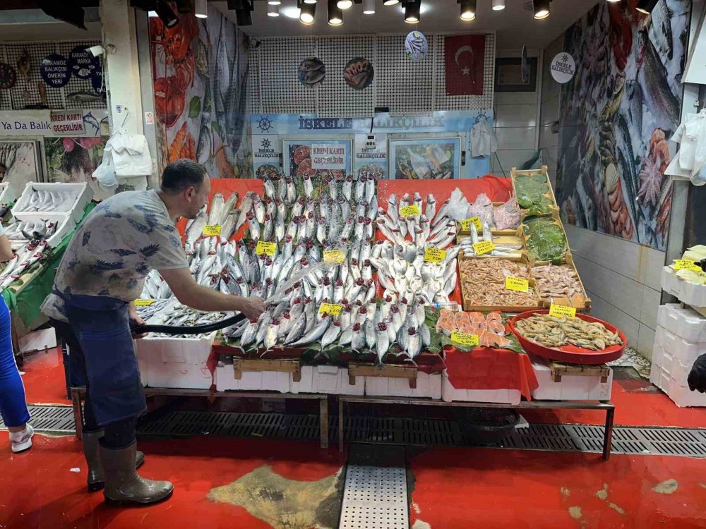 Tezgahlarda palamut bolluğu