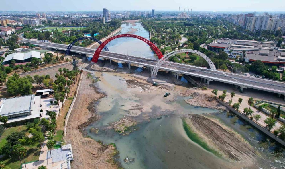 Seyhan Nehri'nde yosun istilası