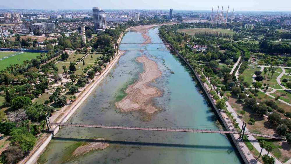 Seyhan Nehri'nde yosun istilası