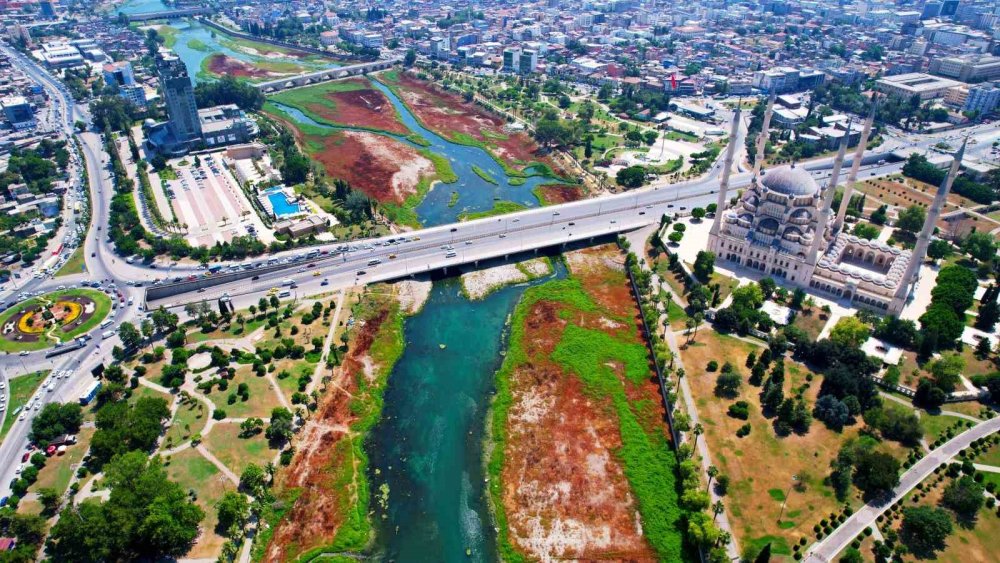 Seyhan Nehri'nde yosun istilası