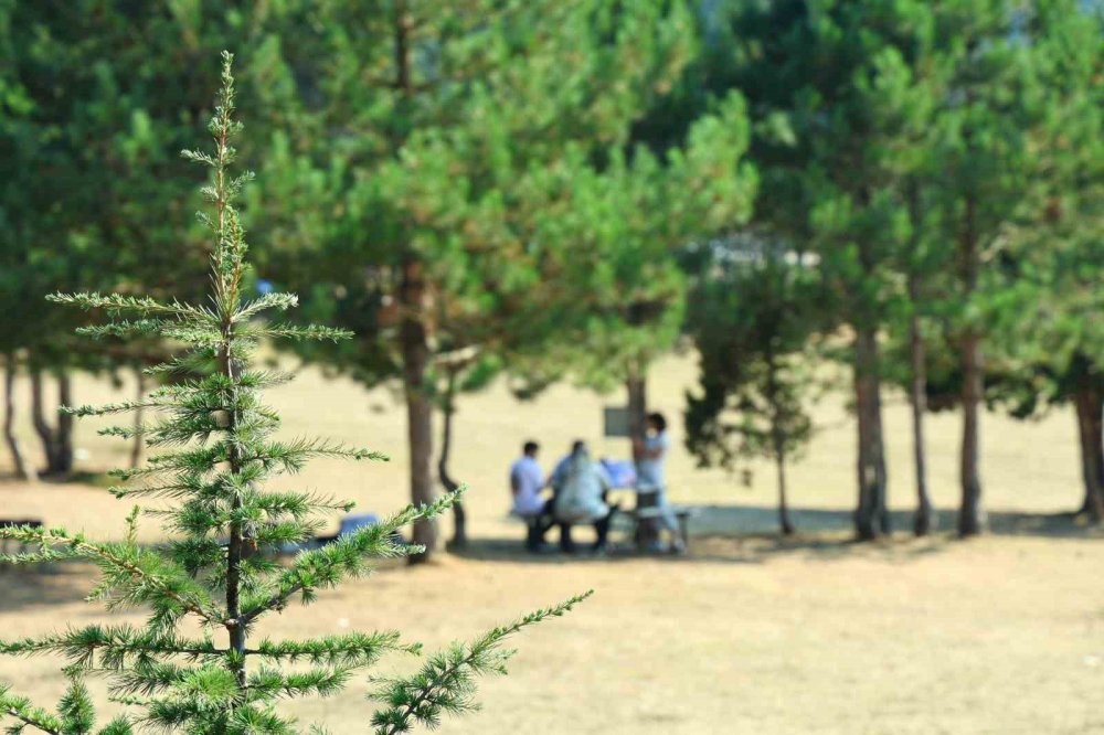 Başkonuş Yaylası, Doğa Turizminin Gözde Rotası Olmaya Devam Ediyor