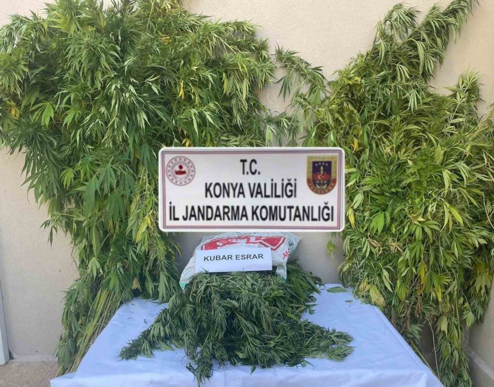 Karatay ve Cihanbeyli'de zehir tacirlerine operasyon