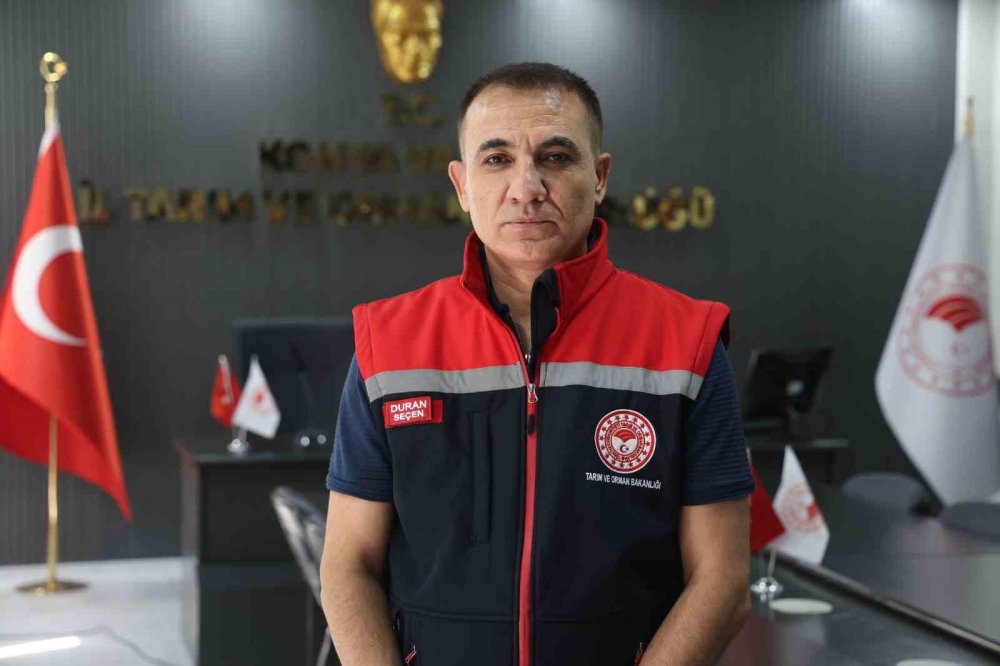 Konya'nın meraları da dönüşüyor