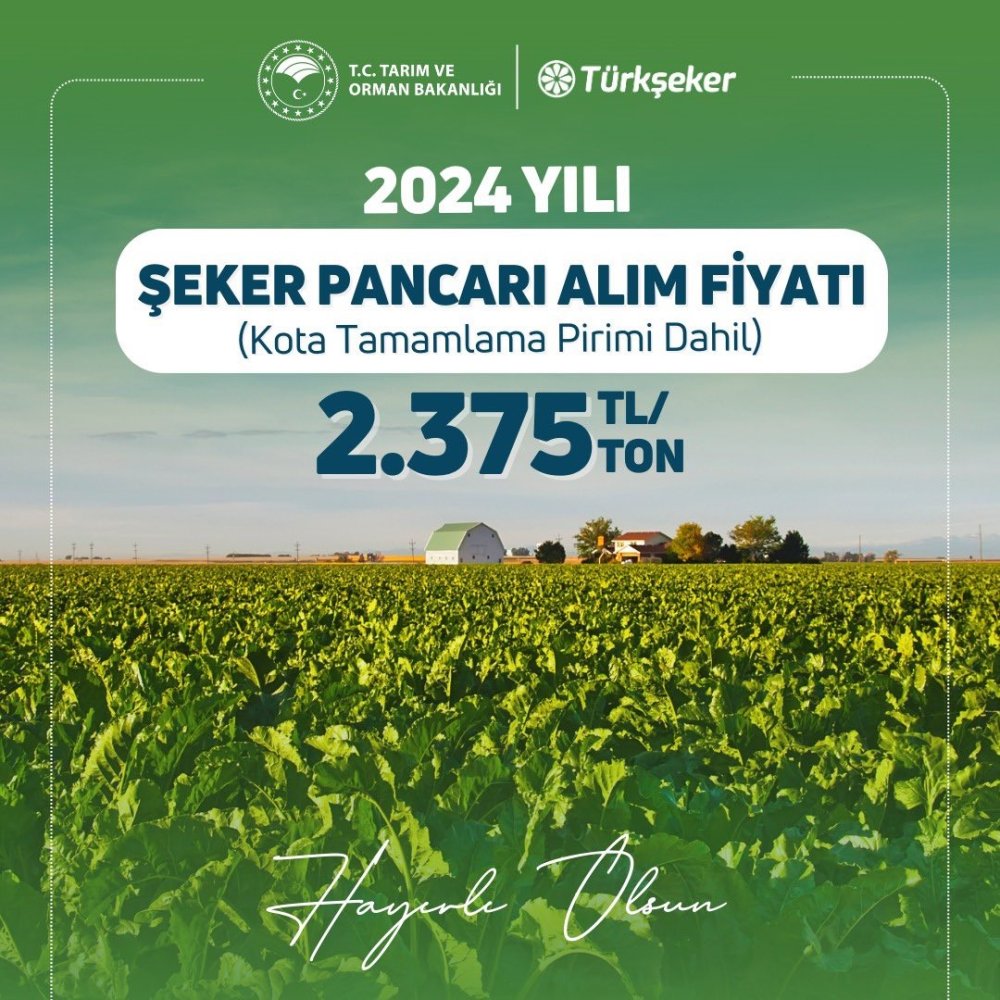 2024 Şeker Pancarı Alım Fiyatı Açıklandı