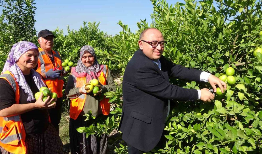 Limonun Başkentinde Sezon Açıldı: En Pahalısı 15 TL