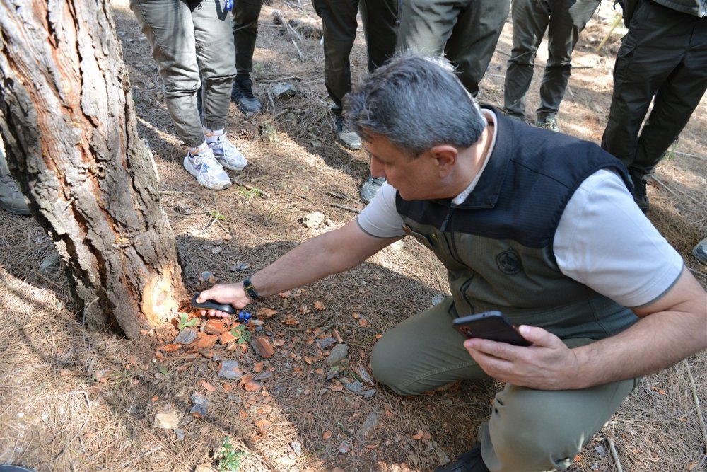 ORKOD Uygulaması ile Orman Ürünleri Dijital Takibe Alınıyor