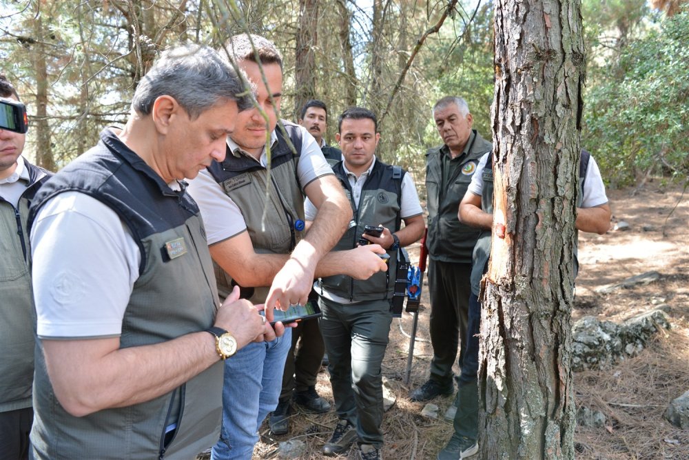 ORKOD Uygulaması ile Orman Ürünleri Dijital Takibe Alınıyor