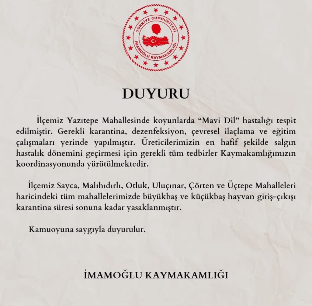 Bir mahalleye ‘mavi dil’ karantinası