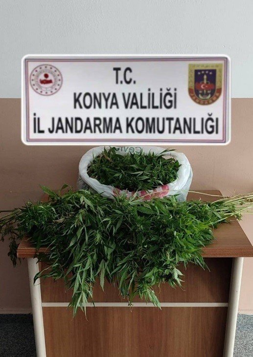 Selçuklu'da evinde uyuşturucu serası kuran şahıs tutuklandı