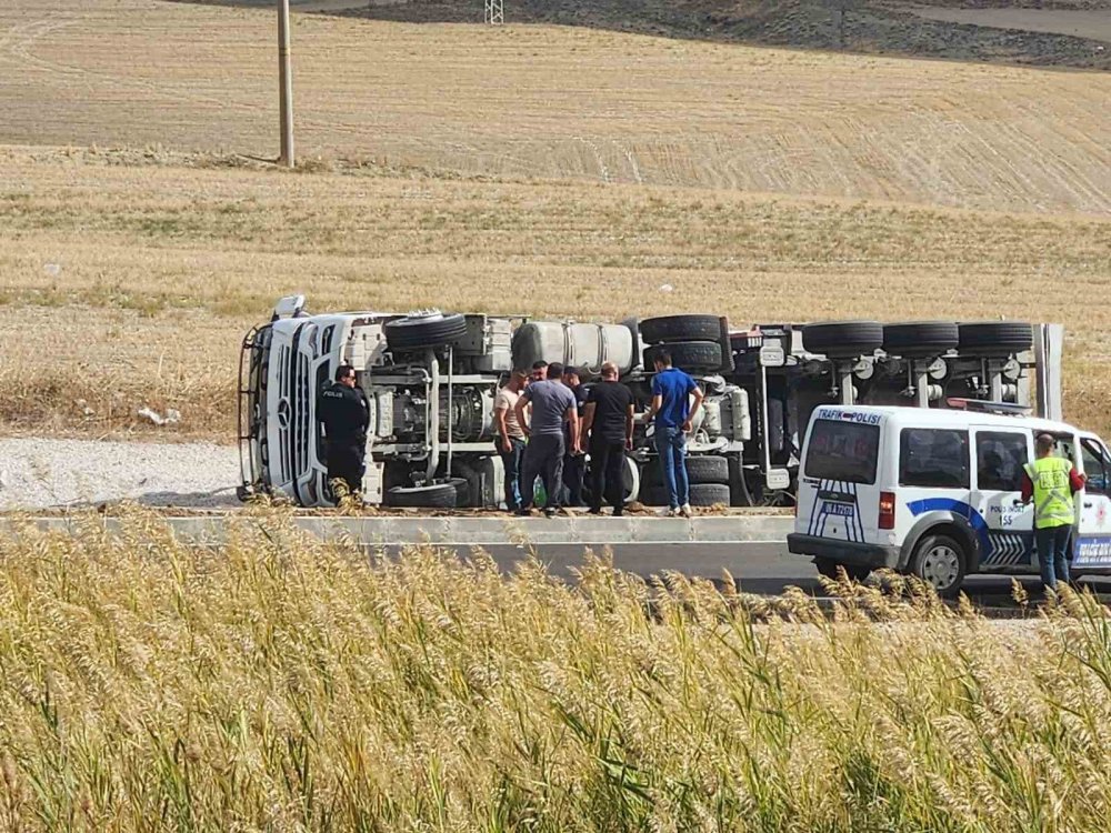 Haymana’da kuzu yüklü tır devrildi, hayvanlar telef oldu