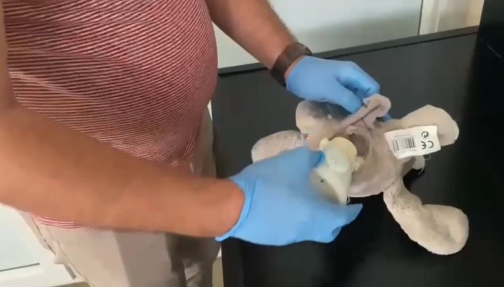 Oyuncak ayıcıktan uyuşturucu çıktı